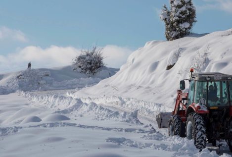Ola de frío en España: la ciencia ciudadana que mide temperaturas mínimas de récord
