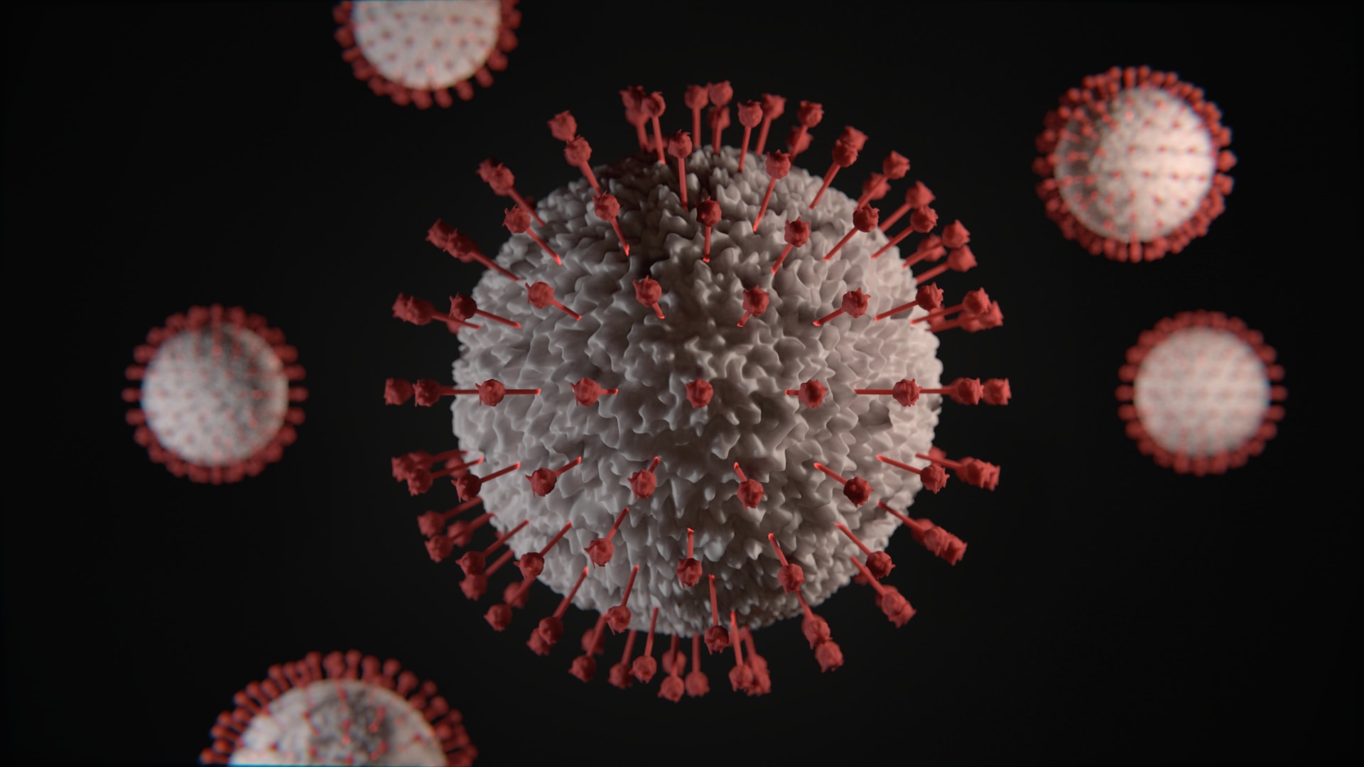 ¿Es posible domesticar virus para que luchen contra la COVID-19?