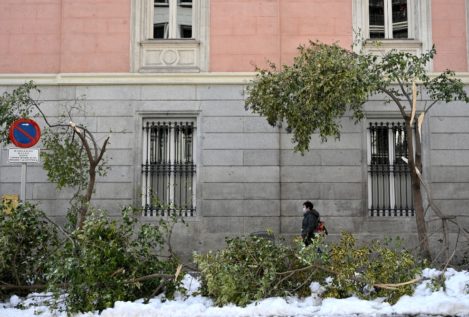 Madrid se enfrenta al problema medioambiental de los árboles dañados por Filomena