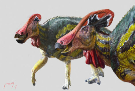 Tlatolophus galorum, la nueva especie de dinosaurio identificada en México