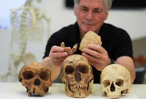 Homo de Nesher Ramla: descubren una nueva especie que puede cambiar la historia de la evolución humana