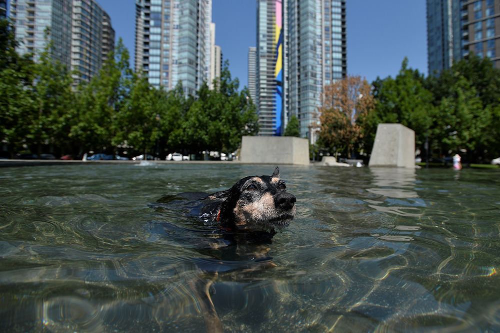 Una ola de calor sin precedentes en Canadá deja ya centenares de fallecidos