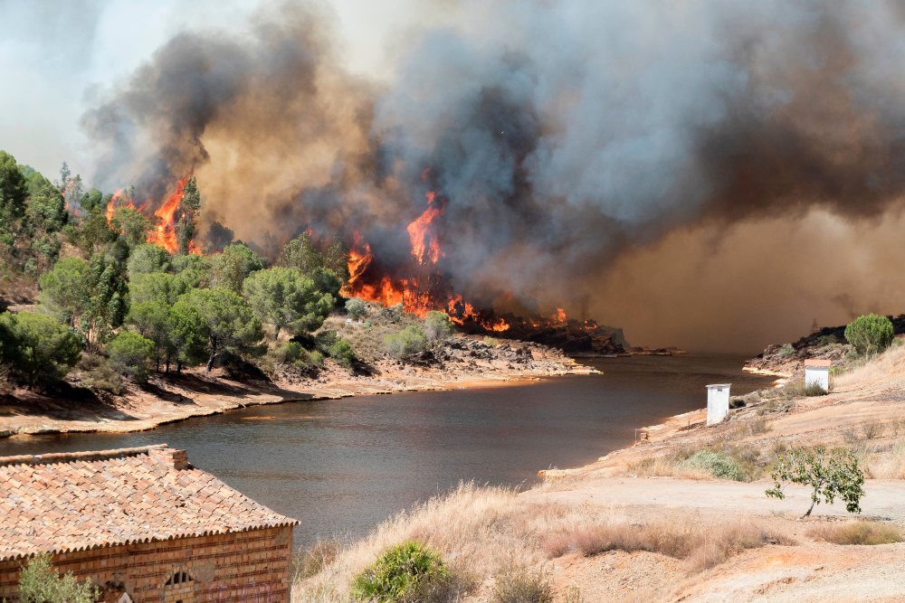 Más de 400 hectáreas quemadas por un incendio en Villarrasa (Huelva)