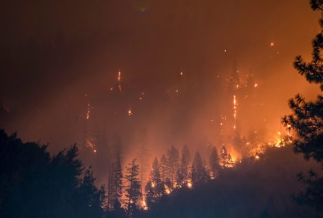 ¿Por qué ahora hay más incendios y son más peligrosos?