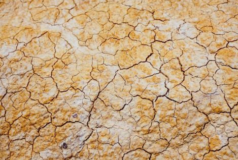 ¿Podemos predecir las sequías?