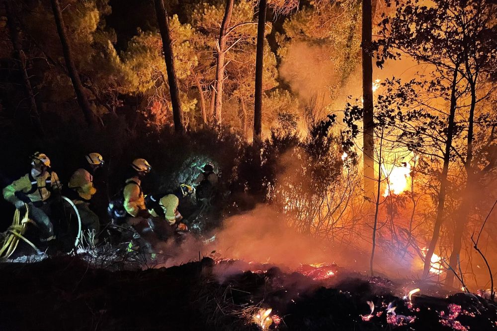 Más de 400 desalojados por el incendio forestal de Sierra Bermeja (Málaga)
