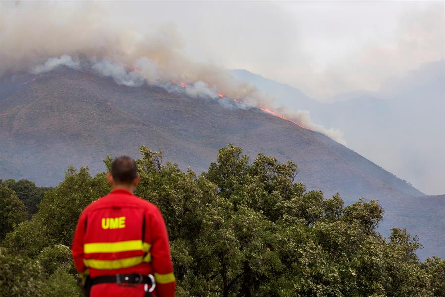 Extinguido mes y medio después el incendio de Sierra Bermeja