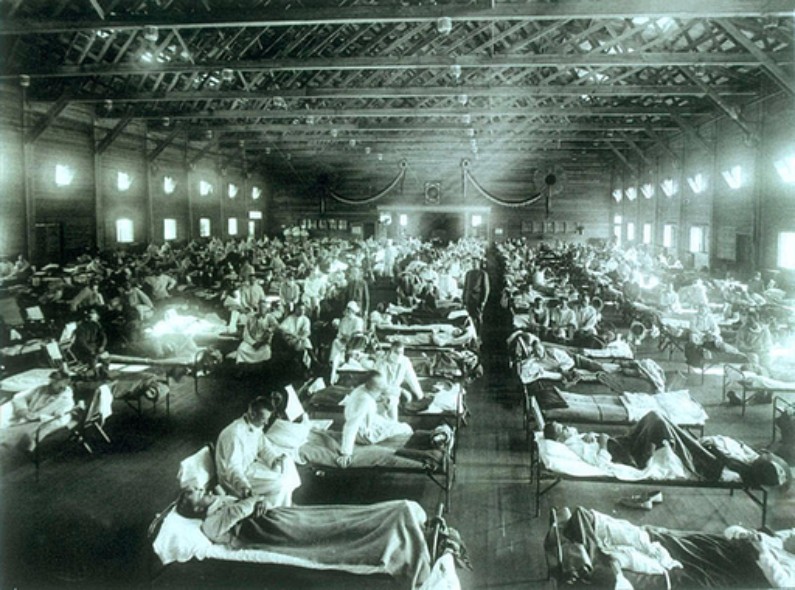 Una más que posible pandemia anterior por coronavirus: la gripe rusa de 1890 1