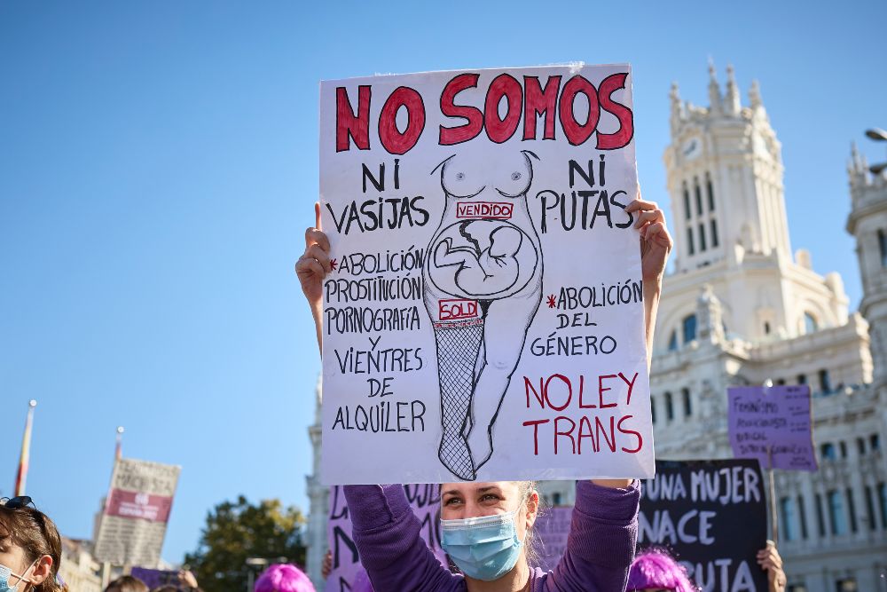 Un grupo de feministas se manifiesta en Madrid contra la ley trans y los vientres de alquiler