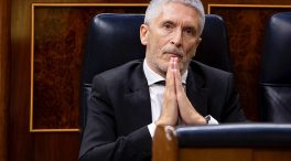 Marlaska suspendió a dos funcionarios por una denuncia falsa de la subdirectora de la cárcel de Villena