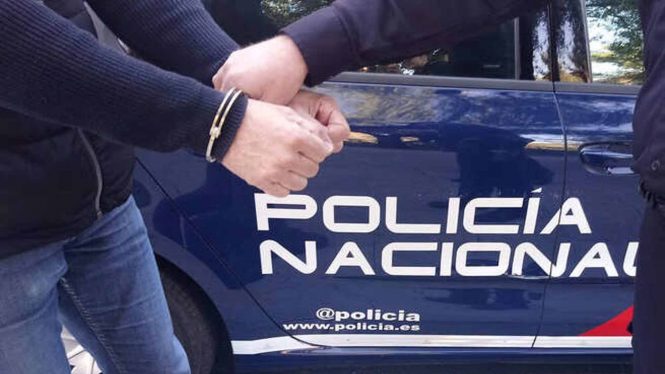 La Policía descabeza la cúpula radical de los Boixos Nois con 14 detenciones