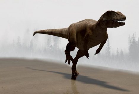 Algunos de los dinosaurios más veloces del mundo vivían en La Rioja