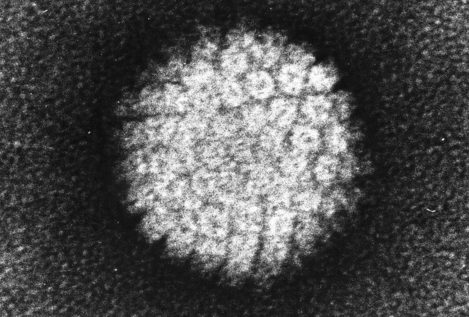 El virus del papiloma, la otra pandemia que no deberíamos ignorar