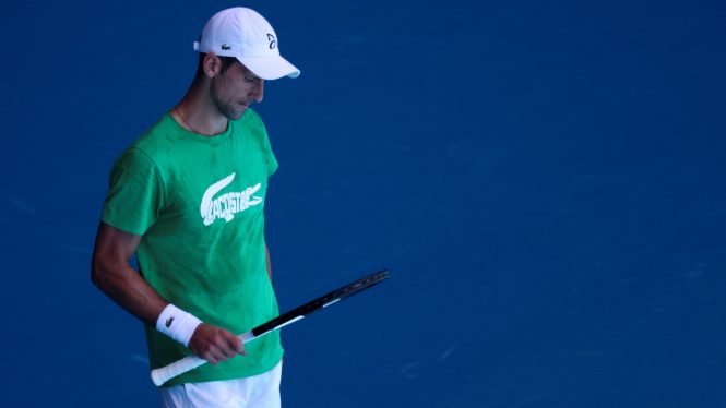 ¿Qué consecuencias sufrirá Lacoste por la polémica de Novak Djokovic?