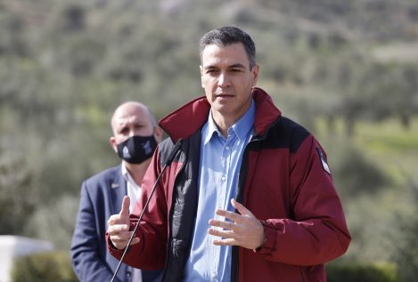 Pedro Sánchez viajará a Abu Dabi pero no verá al Rey emérito
