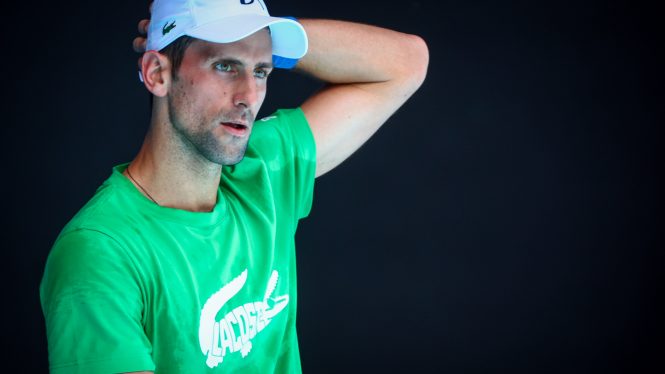 Djokovic compra el 80% de una empresa danesa que busca tratamientos contra la covid