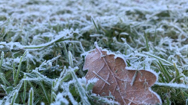 Continúan las heladas: 19 provincias en riesgo con temperaturas mínimas de hasta -8ºC