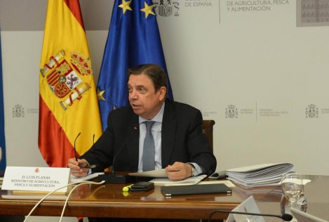 Planas asegura que la polémica con Garzón no ha afectado a las exportaciones de carne