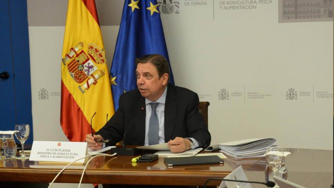 Planas asegura que la polémica con Garzón no ha afectado a las exportaciones de carne
