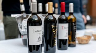 Los vinos madrileños siguen ganando relevancia y posiciones