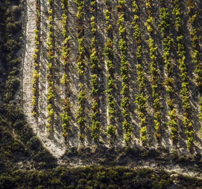 Rioja Alavesa, la Rioja que no para de crecer