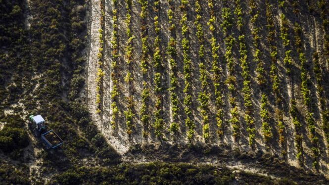 Rioja Alavesa, la Rioja que no para de crecer