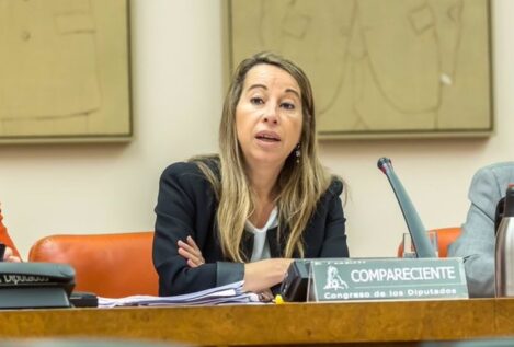 El PSOE pide al juez que la dirigente municipal que negoció con Luceño sea investigada
