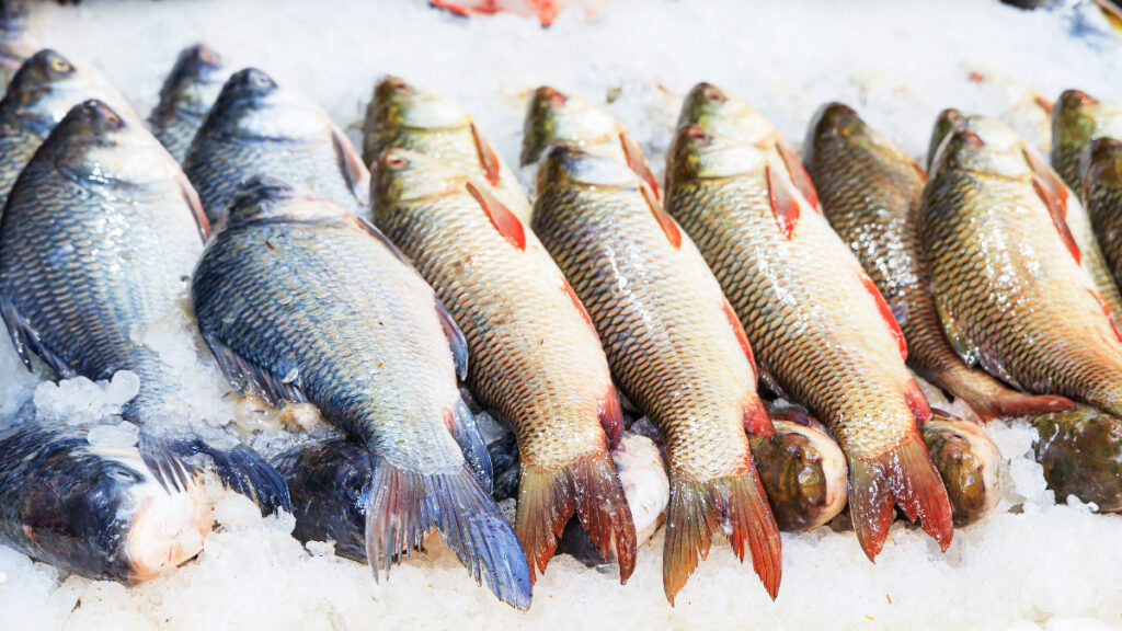 El pescado tanto azul como blanco está cargado de proteínas de alto valor biológico. ©Unsplash.
