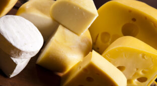 ¿Son sanos el queso y la leche de burra? Analizamos este alimento tan caro y exclusivo