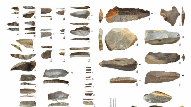Las herramientas de los neandertales revelan patrones de su extinción en la Península Ibérica