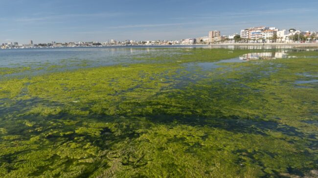 ¿Qué está pasando en el Mar Menor? La eutrofización y sus efectos