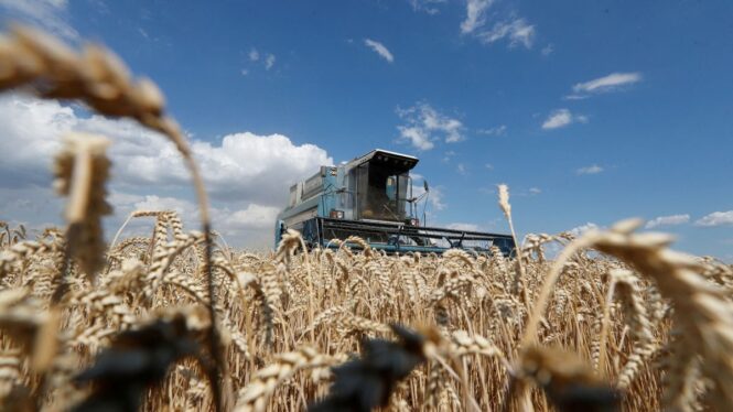 El G7 pide a Rusia que desbloquee las exportaciones de cereales de Ucrania