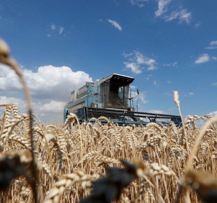 El G7 pide a Rusia que desbloquee las exportaciones de cereales de Ucrania