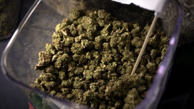 Argentina regula el uso del cannabis medicinal tras varios meses de debate