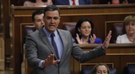 Pedro Sánchez: «El CNI no va a perseguir a adversarios políticos fuera de la ley»