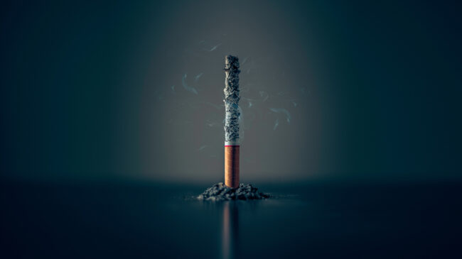 La OMS cifra el coste anual del tabaco: ocho millones de muertes y 600 millones de árboles