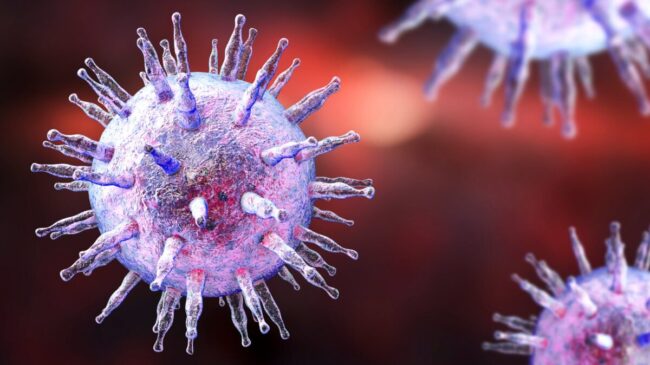 Nace una vacuna que podría acabar con el virus de la esclerosis múltiple y la mononucleosis