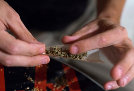 El PSOE se compromete a regular el cannabis medicinal: «Es inexorable»