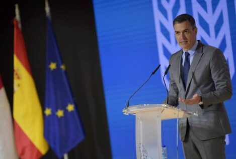 El Gobierno anuncia 800 millones de euros extra en el Perte agroalimentario