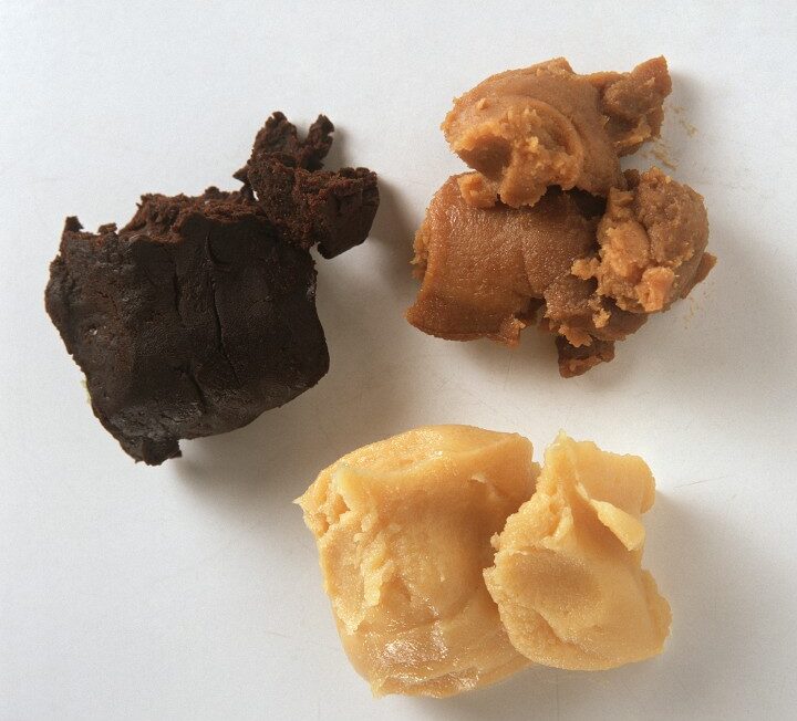 different types of miso