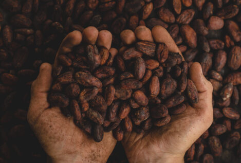 Cacao y corazón (o cómo este placer puede ayudar a nuestra salud cardiovascular)
