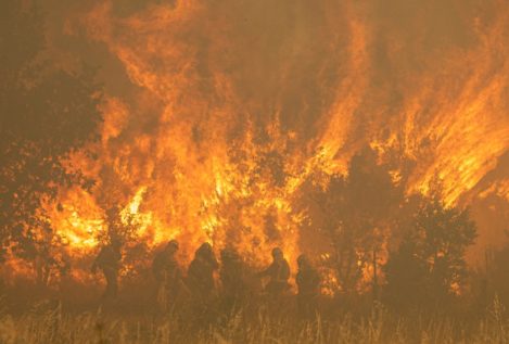 El incendio de Zamora, estabilizado pero con riesgo alto de extenderse