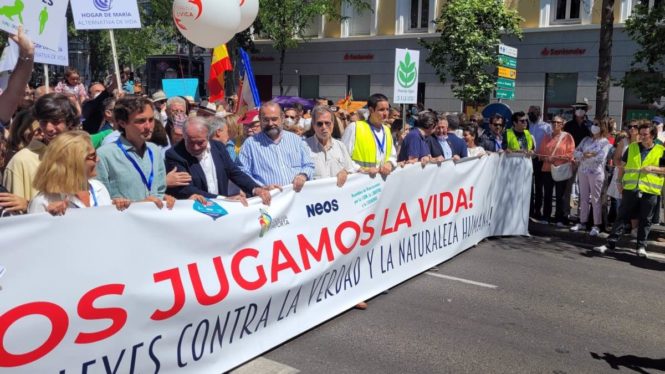 Miles de personas se manifiestan contra el aborto en las calles de Madrid