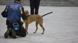 Perros adiestrados para el dispositivo de seguridad de la cumbre de la OTAN