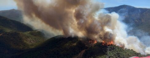 Declarado un incendio en Pujerra, muy cerca de la zona que arrasaron las llamas el año pasado