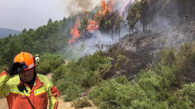 Asturias registra varios incendios forestales en los municipios de Ibias, Villayón e Illano