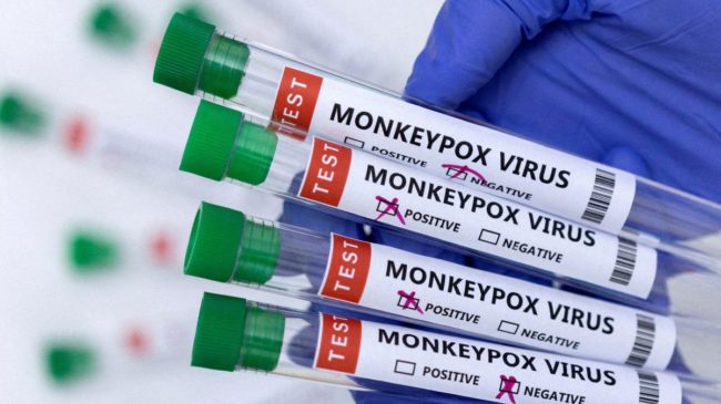 La OMS cifra en 3.400 los casos de viruela del mono en todo el mundo