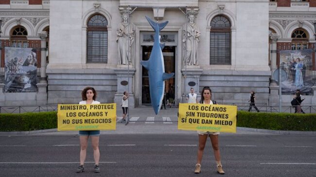 Greenpeace cuelga un tiburón de cinco metros en Madrid contra la pesca sin control