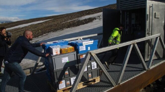 España deposita mil variedades de semillas en el ‘Arca de Noé’ vegetal del Ártico