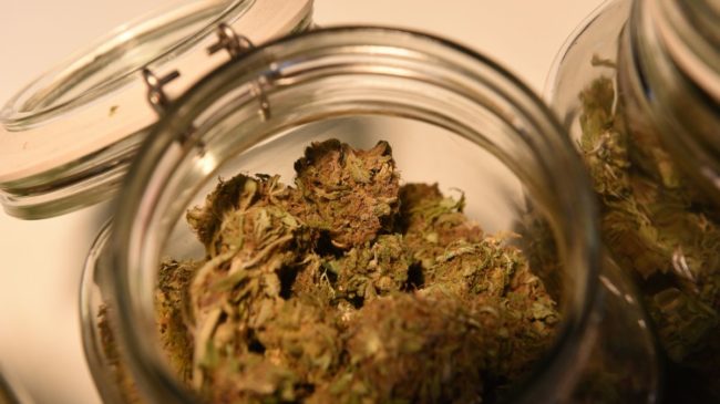 El Congreso acuerda ampliar el uso medicinal del cannabis a dolor oncológico